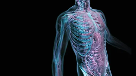 Semne de dezechilibru hormonal în organism
