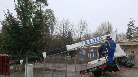 Dorel loveşte la Timişoara! Muncitorii s-au rănit la împodobirea bradului de Crăciun. FOTO