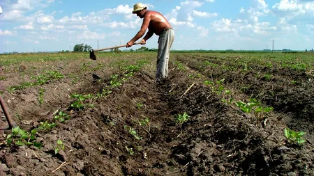 STUDIU. Ce s-a întâmplat cu SCHELETUL UMAN de când oamenii s-au ocupat de agricultură