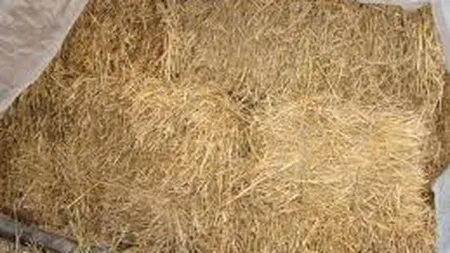 Descoperire macabră în Constanţa. Rămăşiţe umane, descoperite într-un balot de paie