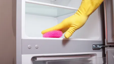 7 paşi pe care trebuie să îi urmezi atunci când îţi cureţi frigiderul