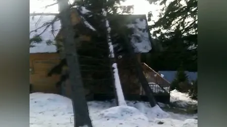 VÂNT PUTERNIC la Rânca. Mai mulţi copaci au căzut peste cabane