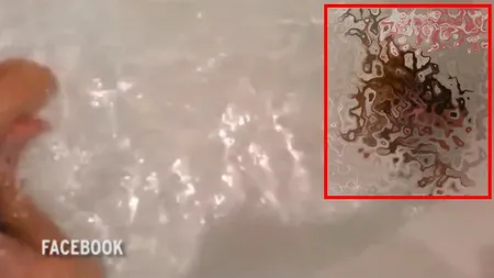 Uită de răţuştele de cauciuc, aceasta este cea mai bună companie la DUŞ. Un copil împarte cada cu o... VIDEO