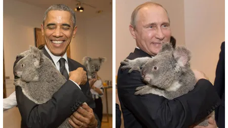 G20: Fotografiile în care Obama şi Putin ţin în braţe un urs KOALA au costat 16.000 de euro