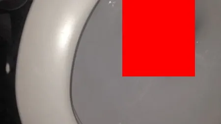 Ce a păţit o fată după ce şi-a scăpat IPHONE-UL în WC: ESTE o MINUNE! FOTO