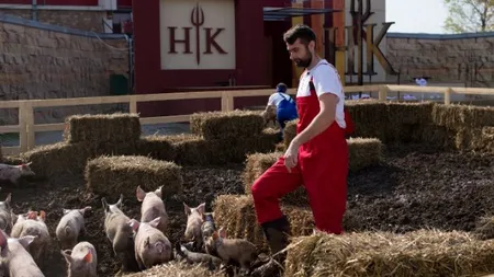 IADUL BUCATARILOR 8 DECEMBRIE: Eliminare-surpriză: 