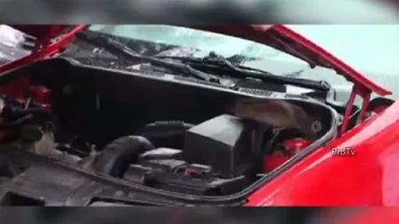 Situaţie disperată: O localitate din Cluj, INVADATĂ de şobolani VIDEO