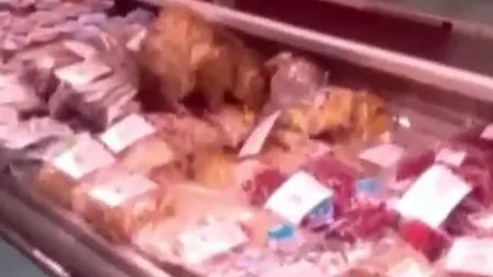Un motan, prins la furat de caviar dintr-un duty free VIDEO