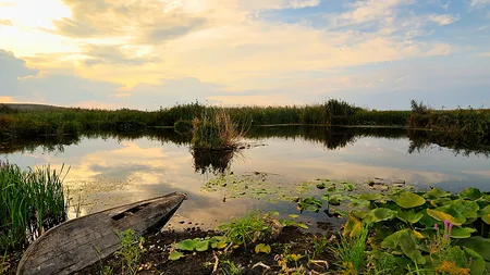 ŞOCANT. DELTA DUNĂRII va DISPĂREA. Vezi motivul HALUCINANT