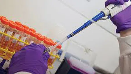 Testele clinice pentru medicamente au făcut SUTE de DECESE