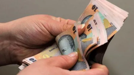 Trei tineri au furat 250.000 de lei dintr-o locuinţă şi au ascuns o parte din bani într-o pădure