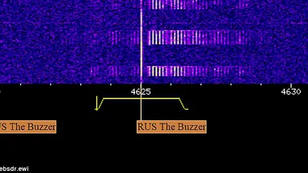 ÎŢI DĂ FIORI: Un post de radio din Rusia transmite MESAJE CODIFICATE VIDEO