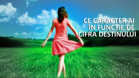 Ce caracter ai în funcţie de cifra destinului