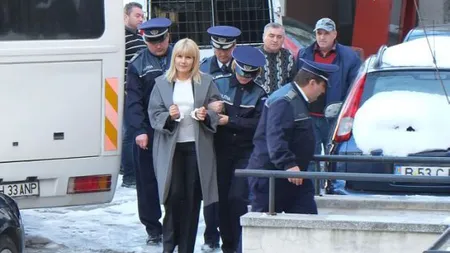 ELENA UDREA a cerut RENOVAREA celulei. Ce spune avocatul fostului ministru