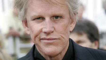 Actorul Gary Busey, accident de MAŞINĂ. O femeie a fost RĂNITĂ