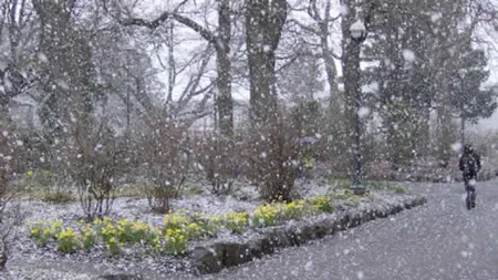 ALERTĂ METEO: Ploi în toată ţara, lapoviţă şi ninsori viscolite la munte