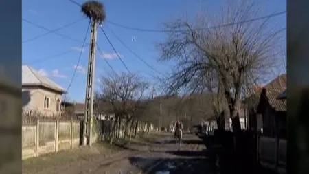 Situaţie tragi-comică. Localnicii de pe aceeaşi stradă, împărţiţi între două judeţe VIDEO