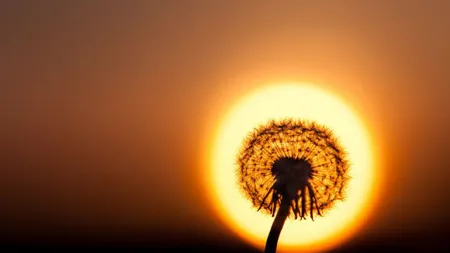 Fotografii IMPRESIONANTE care nu au fost editate în PHOTOSHOP. Imaginile îţi taie răsuflarea FOTO