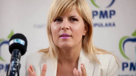 Elena Udrea, nou mesaj pe Facebook, înainte de decizia ICCJ privind arestarea: Mai bine mă ardeţi pe rug!