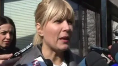 Elena Udrea poate merge în Parlament. 