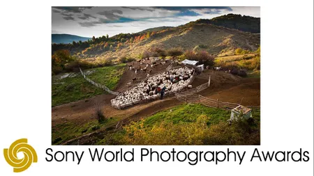 Un fotograf român, câştigător la Sony World Photography 2015. 