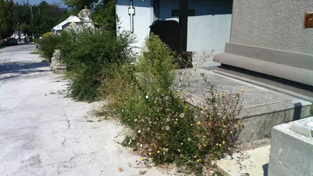 Procurorii caută averea lui Darius Vâlcov şi în CIMITIR. Două CAVOURI, verificate