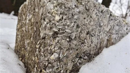 Povestea BIZARĂ a BLOCULUI de CIMENT plin de DINŢI UMANI FOTO
