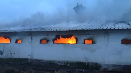 Incendiu de proporţii la un abator din Satu Mare VIDEO