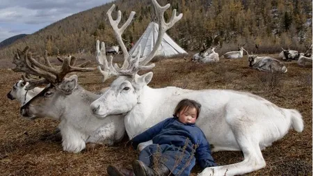 Ultimul trib pierdut în taiga. Imagini unice cu nomazii crescători de reni din Mongolia FOTO