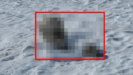 Descoperire MACABRĂ pe vârful înzăpezit al unui munte. Ce au găsit salvamontiştii din greşeală VIDEO