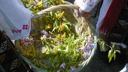 FLORII 2015: Tradiţii, obiceiuri şi superstiţii de Florii