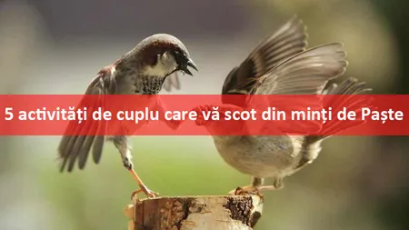 Activităţile de cuplu care vă scot din minţi de Paşte