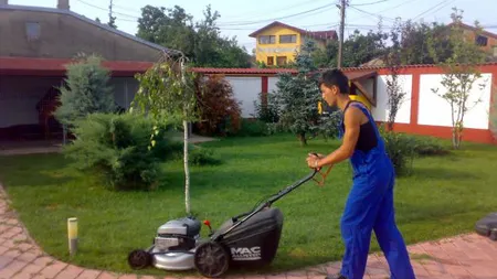 Cum să îţi plantezi gazon în curte. Cât costă şi cum se întreţine