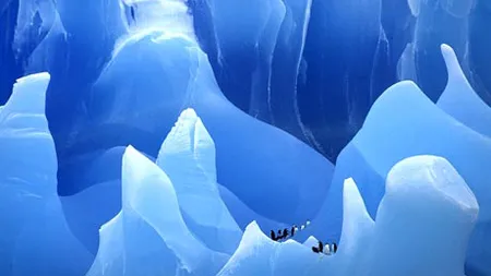 Descoperire uimitoare sub gheaţa din Antarctica