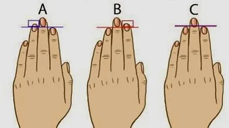 Ce spune lungimea degetelor despre personalitatea ta