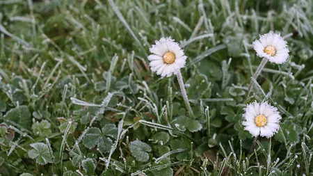 Temperaturi de iarnă la sfârşitul lunii aprilie: Minus 8 grade în Harghita