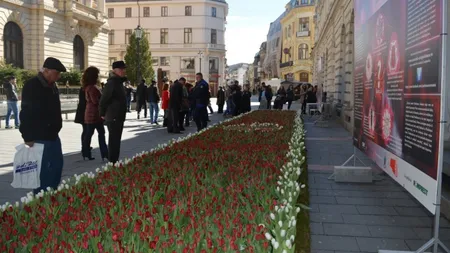 Primul covor de flori din România, expus în Centrul Vechi al Capitalei FOTO