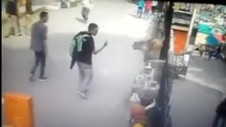 De ce să nu arăţi niciodată unei MAIMUŢE DEGETUL MIJLOCIU