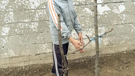 A vrut să sape o CANALIZARE, dar a dat peste o COMOARĂ. Povestea incredibilă a unui prahovean FOTO