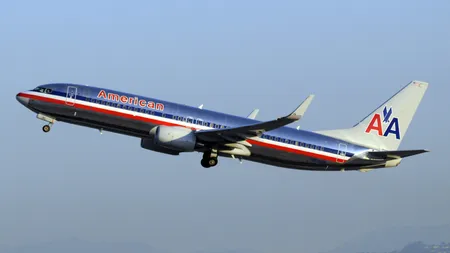 Un avion cu 127 de pasageri la bord a revenit la sol după ce a lovit o pasăre