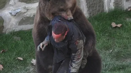 Zeci de români au fost MUŞCAŢI de URŞI şi VULPI