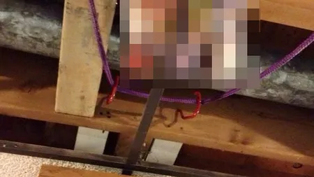 A cumpărat o casă, însă nu credea că o să găsească asta când a spart TAVANUL: A dat norocul peste mine FOTO
