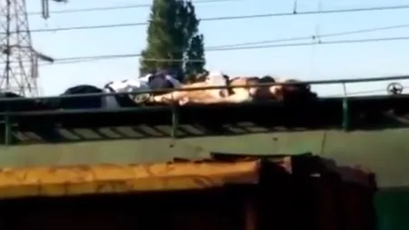 Imagini tulburătoare cu adolescenta electrocutată. Un trecător a filmat clipele de agonie ale fetei VIDEO