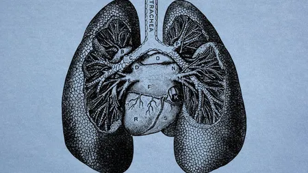 Testul care îţi spune dacă ai probleme cu plămânii