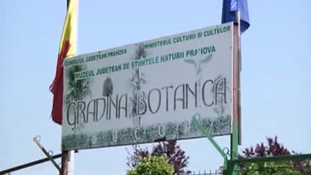 O grădină botanică superbă din Prahova nu are vizitatori VIDEO