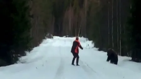 Reacţie incredibilă a unui suedez care a dat nas în nas cu un urs VIDEO