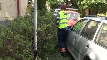 Angajatul unei primării, lovit de un locatar nervos cu un ghiveci în cap, în timp ce toaleta copacii cu drujba