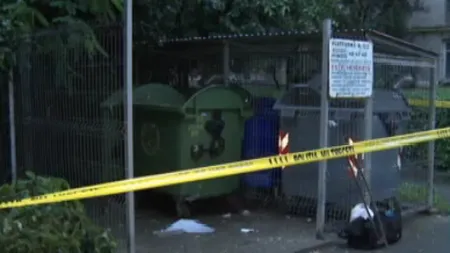 Detalii CUTREMURĂTOARE în cazul gemenelor găsite moarte în tomberon