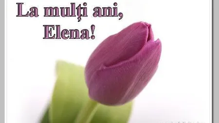 RUXANDRA DRAGOMIR, mesaj pe Facebook pentru Elena Udrea