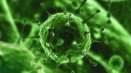Un virus herpetic modificat genetic s-a dovedit eficient împotriva cancerului de piele